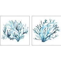 Framed 'Azure Seafan 2 Piece Art Print Set' border=