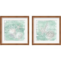 Framed 'Weathered Shell Assortment 2 Piece Framed Art Print Set' border=