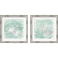 Framed 'Weathered Shell Assortment 2 Piece Framed Art Print Set' border=