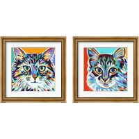 Framed Dramatic Cats 2 Piece Framed Art Print Set