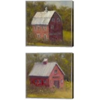Framed 'Country Road 2 Piece Canvas Print Set' border=