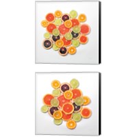 Framed 'Sunny Citrus 2 Piece Canvas Print Set' border=