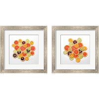 Framed Sunny Citrus 2 Piece Framed Art Print Set