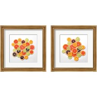 Framed Sunny Citrus 2 Piece Framed Art Print Set