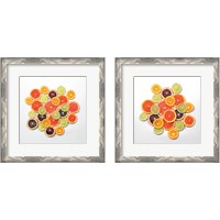 Framed 'Sunny Citrus 2 Piece Framed Art Print Set' border=
