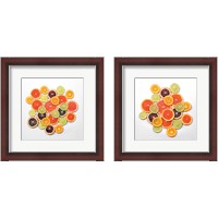 Framed 'Sunny Citrus 2 Piece Framed Art Print Set' border=