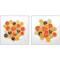 Framed 'Sunny Citrus 2 Piece Art Print Set' border=