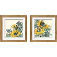 Framed 'Sunflower  2 Piece Framed Art Print Set' border=