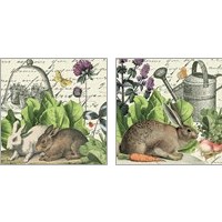 Framed 'Garden Rabbit 2 Piece Art Print Set' border=