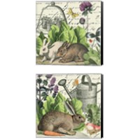Framed 'Garden Rabbit 2 Piece Canvas Print Set' border=