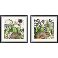 Framed Garden Rabbit 2 Piece Framed Art Print Set