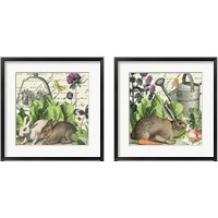 Framed 'Garden Rabbit 2 Piece Framed Art Print Set' border=