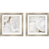 Framed 'White Shells 2 Piece Framed Art Print Set' border=