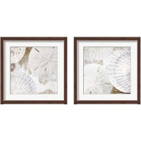 Framed 'White Shells 2 Piece Framed Art Print Set' border=