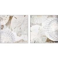 Framed 'White Shells 2 Piece Art Print Set' border=