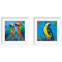 Framed 'Island Birds 2 Piece Framed Art Print Set' border=