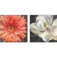 Framed 'Vivid Floral 2 Piece Art Print Set' border=