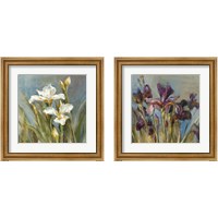 Framed Spring Iris  2 Piece Framed Art Print Set