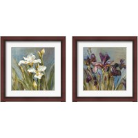 Framed Spring Iris  2 Piece Framed Art Print Set