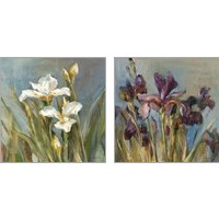 Framed 'Spring Iris  2 Piece Art Print Set' border=