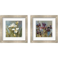 Framed 'Spring Iris  2 Piece Framed Art Print Set' border=
