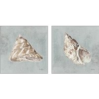 Framed 'Sand and Seashells  2 Piece Art Print Set' border=