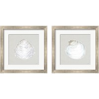 Framed Serene Shells  Tan 2 Piece Framed Art Print Set