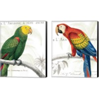 Framed 'Parrot Botanique 2 Piece Canvas Print Set' border=