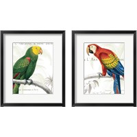 Framed Parrot Botanique 2 Piece Framed Art Print Set