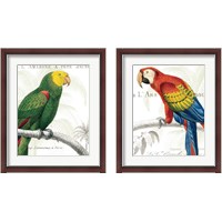 Framed 'Parrot Botanique 2 Piece Framed Art Print Set' border=