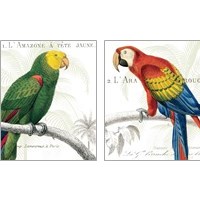 Framed 'Parrot Botanique 2 Piece Art Print Set' border=