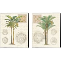 Framed 'Vintage Palm Study 2 Piece Canvas Print Set' border=