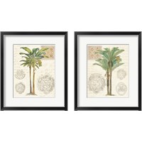 Framed 'Vintage Palm Study 2 Piece Framed Art Print Set' border=