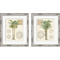 Framed Vintage Palm Study 2 Piece Framed Art Print Set