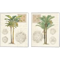 Framed 'Vintage Palm Study 2 Piece Canvas Print Set' border=