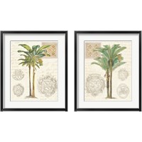 Framed Vintage Palm Study 2 Piece Framed Art Print Set