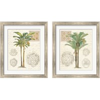 Framed Vintage Palm Study 2 Piece Framed Art Print Set