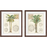 Framed 'Vintage Palm Study 2 Piece Framed Art Print Set' border=