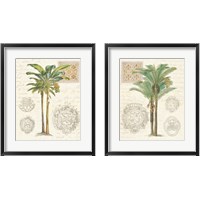 Framed 'Vintage Palm Study 2 Piece Framed Art Print Set' border=