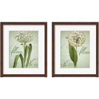 Framed Allium 2 Piece Framed Art Print Set