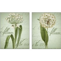 Framed 'Allium 2 Piece Art Print Set' border=