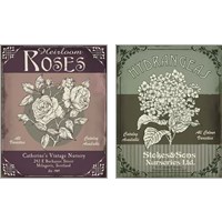 Framed 'Flower Shop 2 Piece Art Print Set' border=