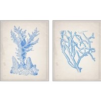 Framed 'Blue Coral 2 Piece Art Print Set' border=