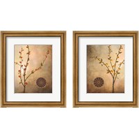 Framed 'Fall Stems in the Light and Warmth 2 Piece Framed Art Print Set' border=