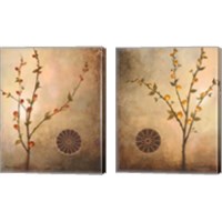 Framed 'Fall Stems in the Light and Warmth 2 Piece Canvas Print Set' border=