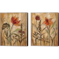 Framed Aquarelle Garden 2 Piece Canvas Print Set