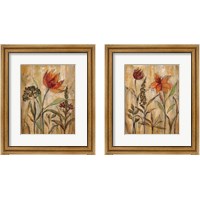 Framed Aquarelle Garden 2 Piece Framed Art Print Set