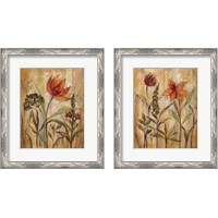 Framed 'Aquarelle Garden 2 Piece Framed Art Print Set' border=