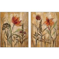 Framed 'Aquarelle Garden 2 Piece Art Print Set' border=