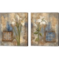 Framed Flower and Tile 2 Piece Canvas Print Set